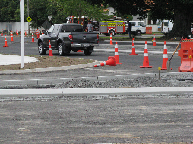 30. Hamilton - Victoria intersection medians. Cambridge Tree Trust